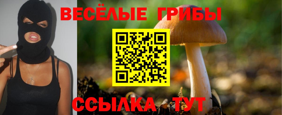 Галлюциногенные грибы ЛСД  Галлюциногенные грибы мухоморы  Вход с VPN  Десногорск 